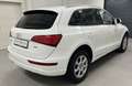 Audi Q5 2,0 TDI quattro DPF*Top Zustand* Weiß - thumbnail 4