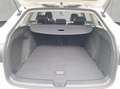 Volkswagen Golf VIII Variant 1.5 eTSI DSG Goal NAVI AHK 360 Weiß - thumbnail 7