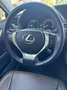 Lexus GS 300 GS 300 300h Business Line Gris - thumbnail 9