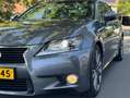 Lexus GS 300 GS 300 300h Business Line Gris - thumbnail 5