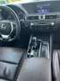 Lexus GS 300 GS 300 300h Business Line Gris - thumbnail 10