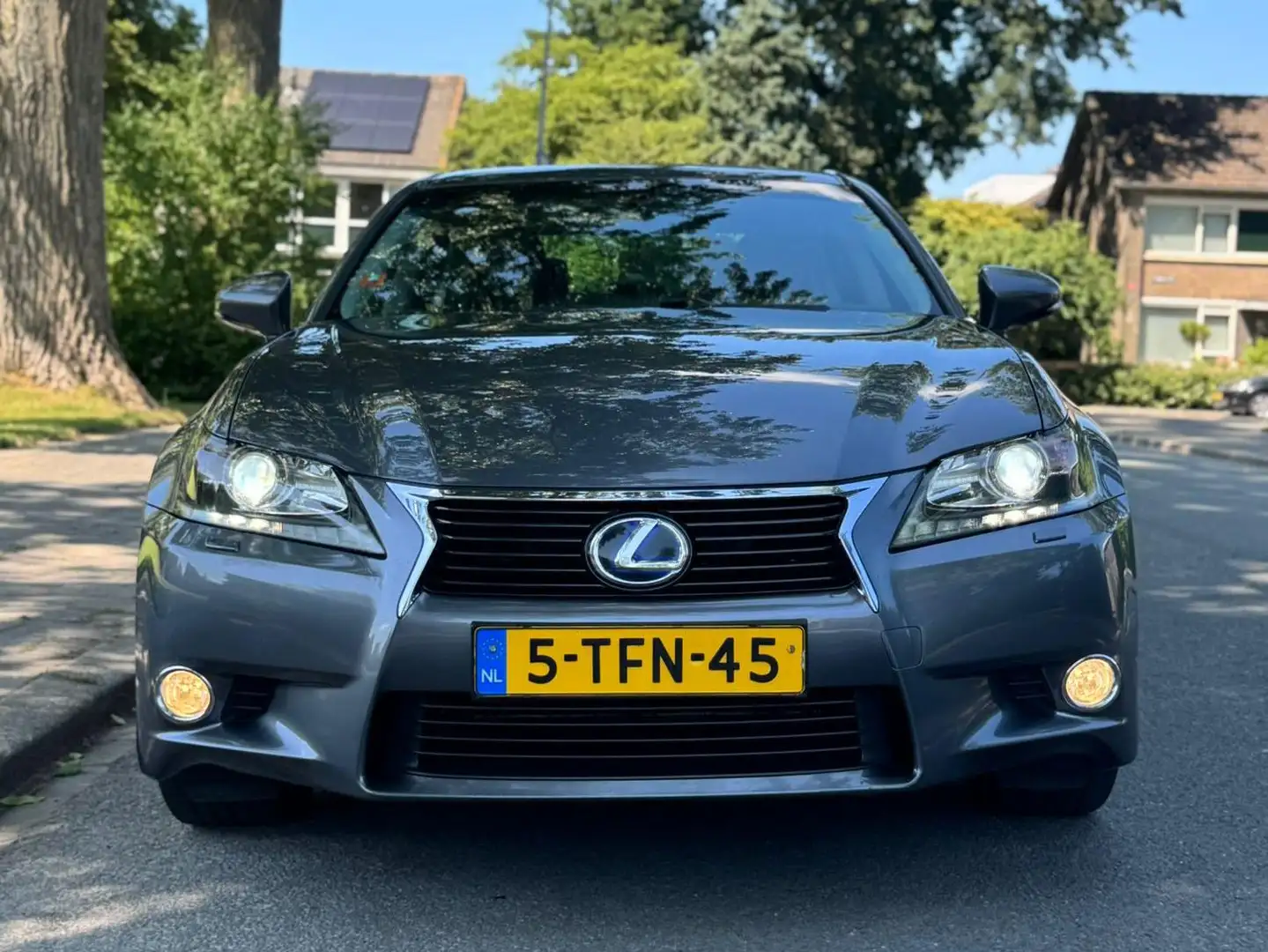 Lexus GS 300 GS 300 300h Business Line Gris - 2