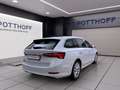Skoda Octavia Combi 1.5 TSI FIRST EDITION PANO MATRIX Weiß - thumbnail 5