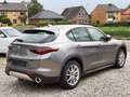 Alfa Romeo Stelvio Super  Teilleder/NAVI/ Euro6/Kamera Silber - thumbnail 9