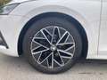 Skoda Octavia Ambition TDI Wit - thumbnail 16
