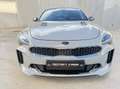 Kia Stinger 3.3 T-GDI GT 4x4 Aut. 366 - thumbnail 3