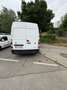 Renault Master L2H2 Minibus Authent. 3,0 dCi 140 Authentique - thumbnail 16