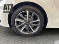 Hyundai i30 1.5 T-GDI Ed. 30+ Mild-Hybrid (EURO 6d)(OPF) Weiß - thumbnail 20