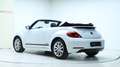 Volkswagen Beetle Club BMT 3 Jahre Garantie Weiß - thumbnail 4
