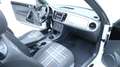 Volkswagen Beetle Club BMT 3 Jahre Garantie Weiß - thumbnail 22