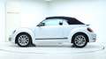 Volkswagen Beetle Club BMT 3 Jahre Garantie Weiß - thumbnail 14