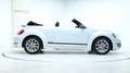 Volkswagen Beetle Club BMT 3 Jahre Garantie Weiß - thumbnail 9