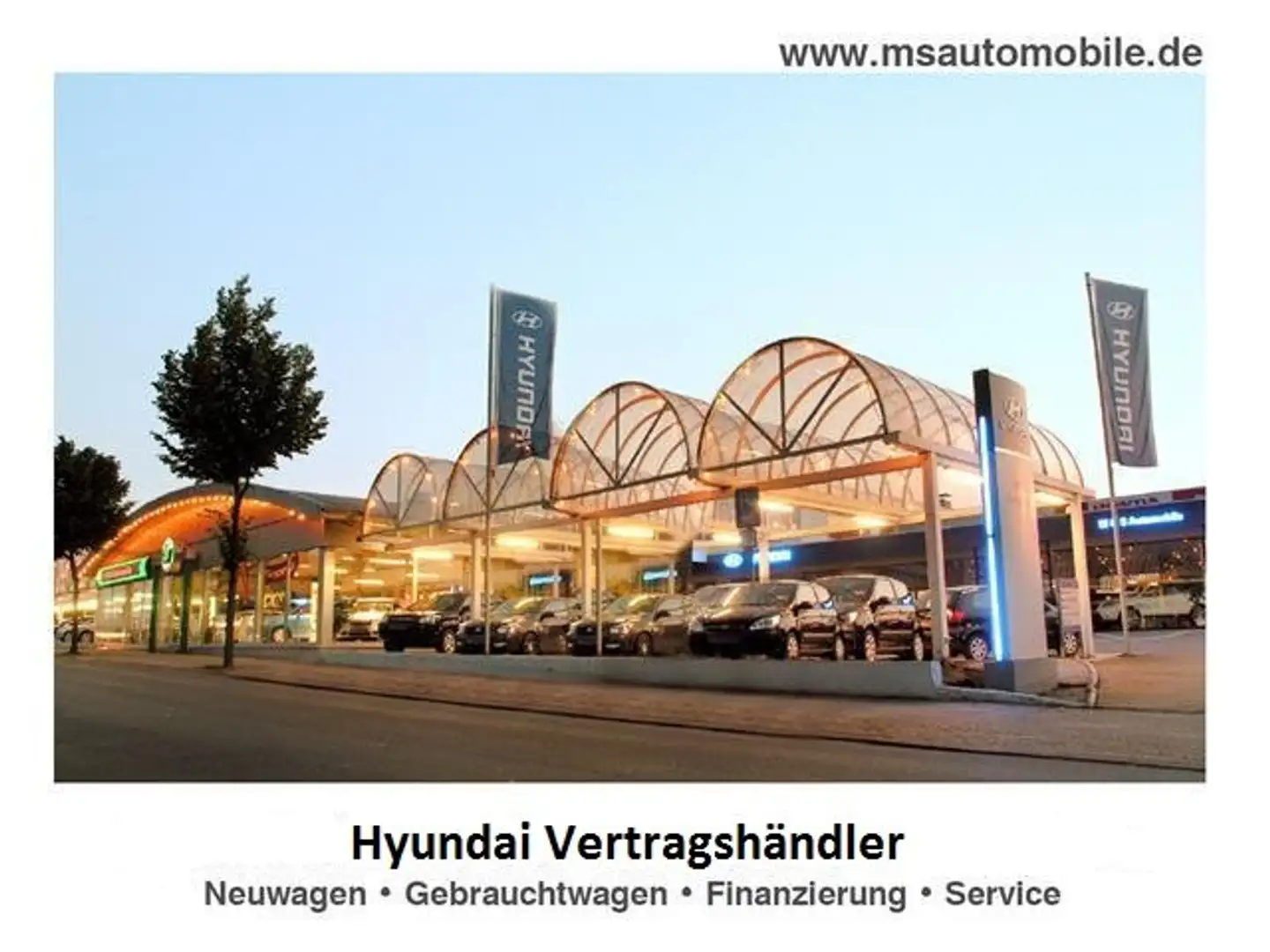 Hyundai TUCSON 1.6 T-GDi PHEV 4WD Prime*AT*ECS*360°Kamera Weiß - 1