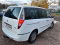 Lancia Phedra 3.0 V6 24V Auto Emblema Weiß - thumbnail 4