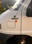 Fiat Ducato Hymer camper Wit - thumbnail 3