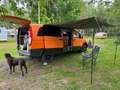 Mercedes-Benz Vito Vito 115 CDI 4MATIC Extralang DPF Aut. Orange - thumbnail 10