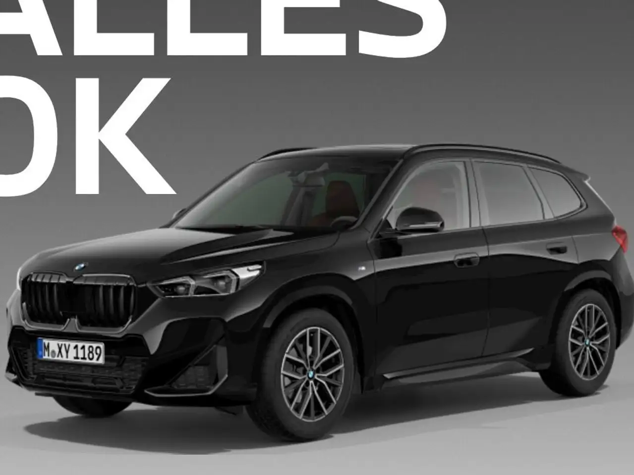 BMW iX1