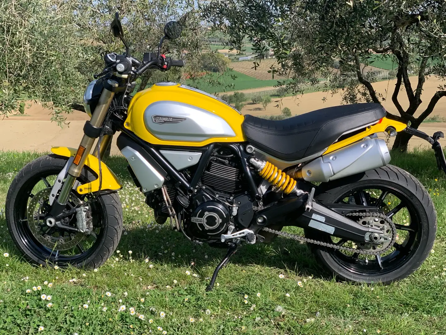 Ducati Scrambler 1100 (2018-20) Giallo - 2
