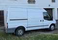 Ford Transit Kasten N1 LKW - thumbnail 2