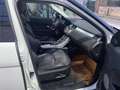 Land Rover Range Rover Evoque 5p 2.0 td4 Launch edition 150cv - thumbnail 11