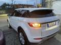 Land Rover Range Rover Evoque 5p 2.0 td4 Launch edition 150cv - thumbnail 6