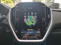 Subaru Crosstrek 2.0ie e-Boxer AWD Platinum Leder Navi Orange - thumbnail 16