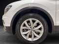 Volkswagen Tiguan 2.0 tdi Advanced 4Motion 150cv DSG Grigio - thumbnail 18