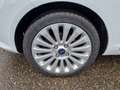 Ford Fiesta 1.25 Trend 5-Drs Airco! Bj:2009 Blanc - thumbnail 25