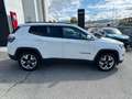 Jeep Compass Compass 1.6 Multijet II 2WD Limited Bianco - thumbnail 5