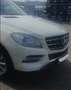 Mercedes-Benz ML 250 ML 250 BlueTEC 4MATIC 7G-TRONIC Weiß - thumbnail 4