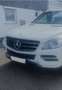 Mercedes-Benz ML 250 ML 250 BlueTEC 4MATIC 7G-TRONIC Weiß - thumbnail 5