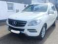 Mercedes-Benz ML 250 ML 250 BlueTEC 4MATIC 7G-TRONIC Weiß - thumbnail 1