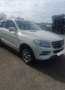 Mercedes-Benz ML 250 ML 250 BlueTEC 4MATIC 7G-TRONIC Weiß - thumbnail 3