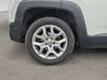 Jeep Renegade Renegade 1.6 Mjt 120 CV Limited Weiß - thumbnail 7