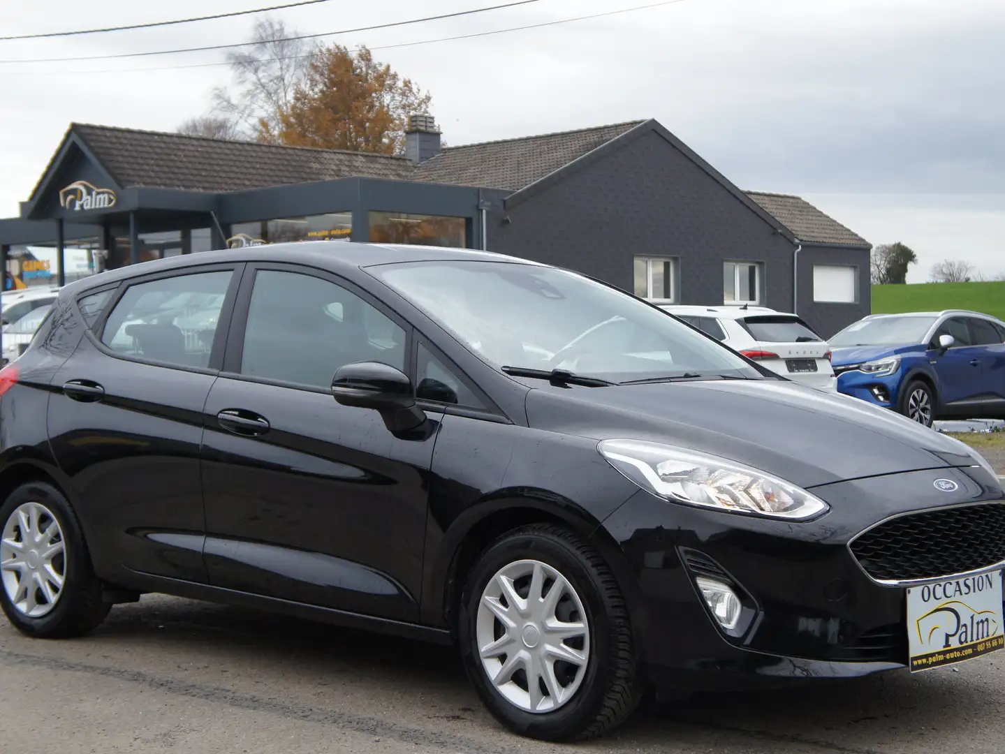 Ford Fiesta 1.0 EcoBoost Trend Noir - 2