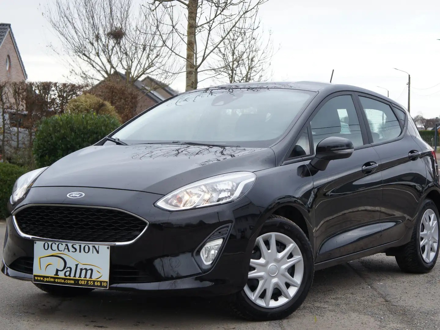 Ford Fiesta 1.0 EcoBoost Trend Noir - 1
