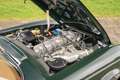 Mercedes-Benz SL 250 250 SL Pagode Grün - thumbnail 22