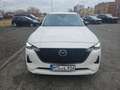 Mazda CX-60 🌞TOP Vorführwagen Homura/Bose/AWD/Diesel🌞 Blanco - thumbnail 3