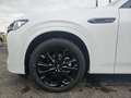 Mazda CX-60 🌞TOP Vorführwagen Homura/Bose/AWD/Diesel🌞 Blanco - thumbnail 5