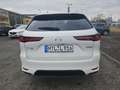Mazda CX-60 🌞TOP Vorführwagen Homura/Bose/AWD/Diesel🌞 Blanco - thumbnail 4