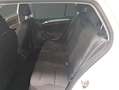 Volkswagen Golf 1.6TDI Advance 85kW Blanco - thumbnail 9
