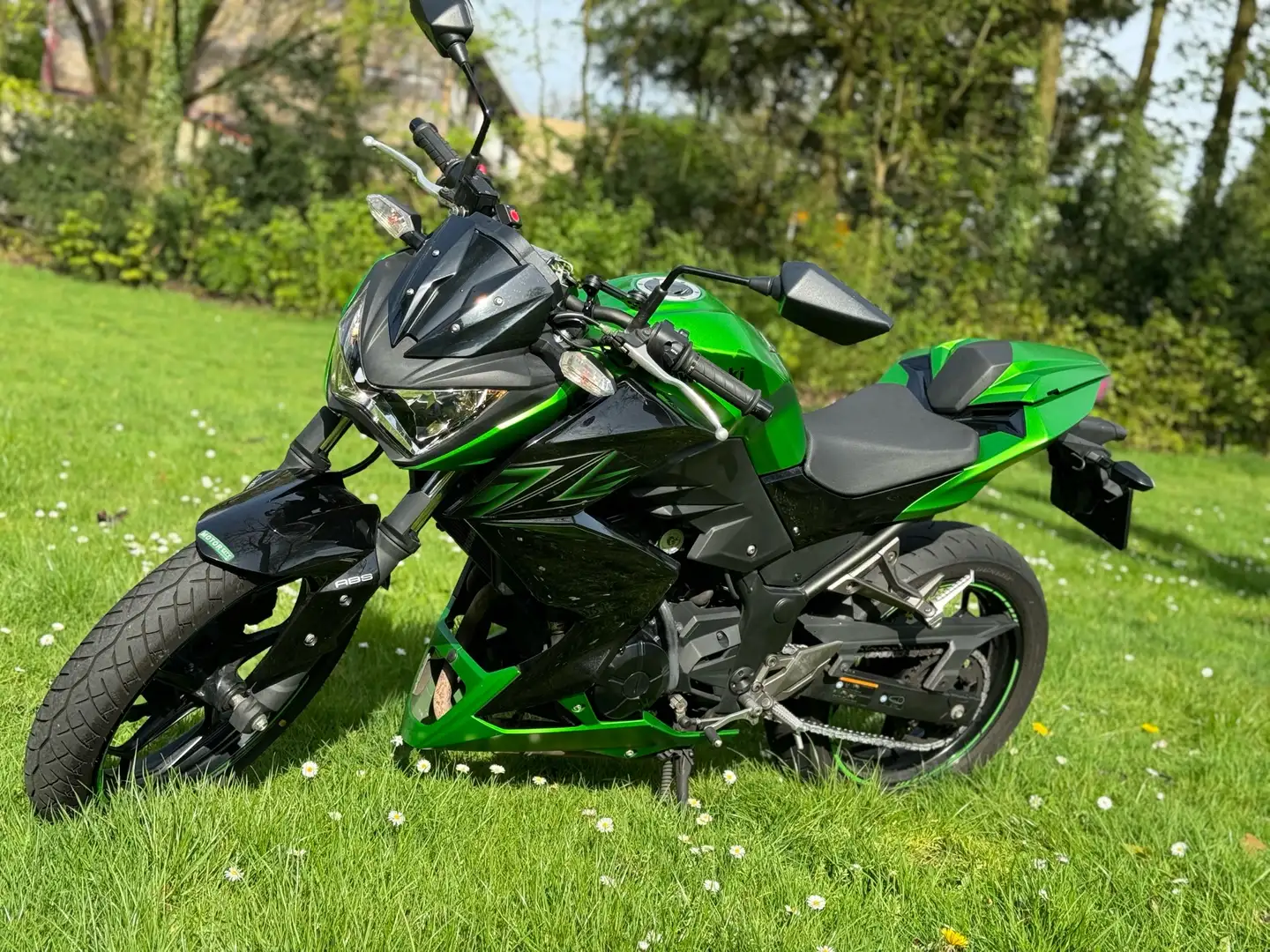 Kawasaki Z 300 Kawasaki Z300 ABS laag kilometerstand Зелений - 1