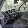 Ford Transit 350 L4 Trend Weiß - thumbnail 7