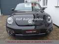 Volkswagen Beetle 1.2TSI Sound Plus Fender Xenon DISC 18" Noir - thumbnail 5