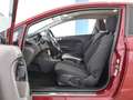 Ford Fiesta SYNC Edition 1.0l EcoB. +ZAHNRIEMEN-NE Rot - thumbnail 6