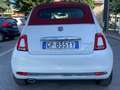 Fiat 500C 500C 1.0 Lounge 69cv my20 - thumbnail 12