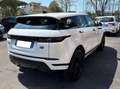 Land Rover Range Rover Evoque Range Rover Evoque 2.0d i4 mhev R-Dynamic HSE awd Weiß - thumbnail 4