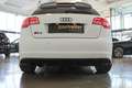 Audi RS3 SB 2.5 TFSI quattro Navi/Bose/Xenon/Optik Pak sch Weiß - thumbnail 10