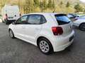 Volkswagen Polo 1.2 TDI DPF 5 p. BlueMotion 89g NEOPATENTATI Blanc - thumbnail 5