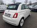Fiat 500 DolceVita Faltdach Navi Apple CarPlay Android Auto Weiß - thumbnail 6